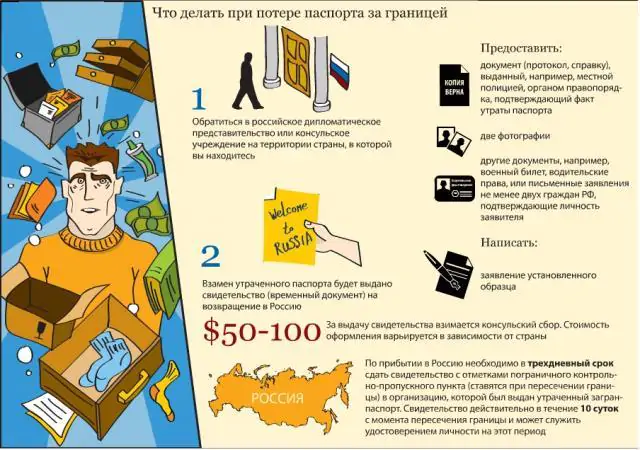 Что делать, если потерял паспорт: инструкция и сроки Что делать, если потерял паспорт: инструкция и сроки