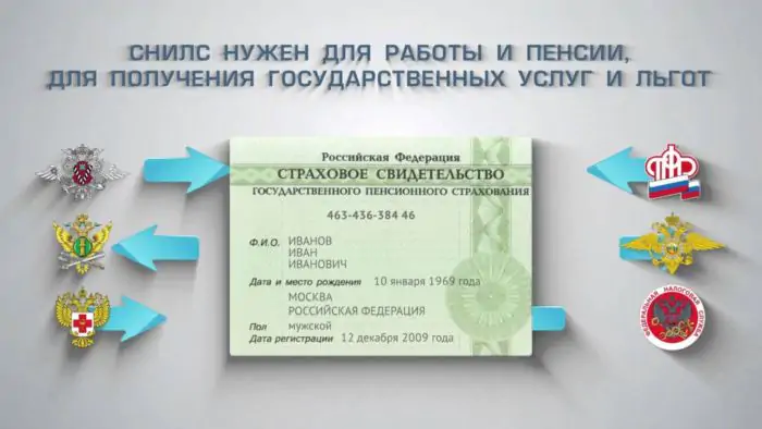 Зачем нужен СНИЛС: льготы, выплаты и госуслуги Зачем нужен СНИЛС: льготы, выплаты и госуслуги