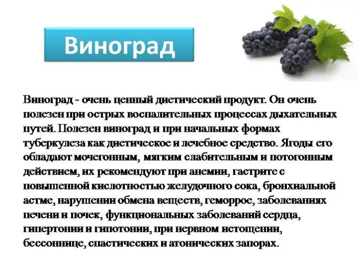 Чем полезен виноград для организма женщины Чем полезен виноград для организма женщины